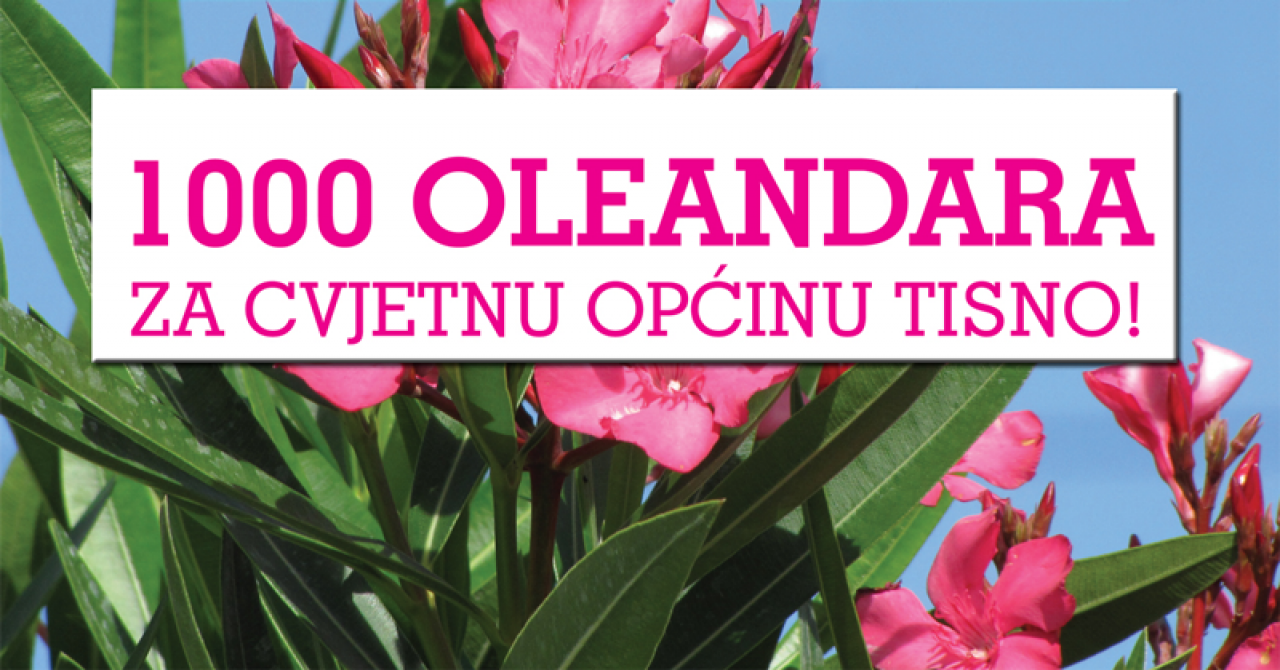 Općina Tisno organizira besplatnu podjelu sadnica oleandara 