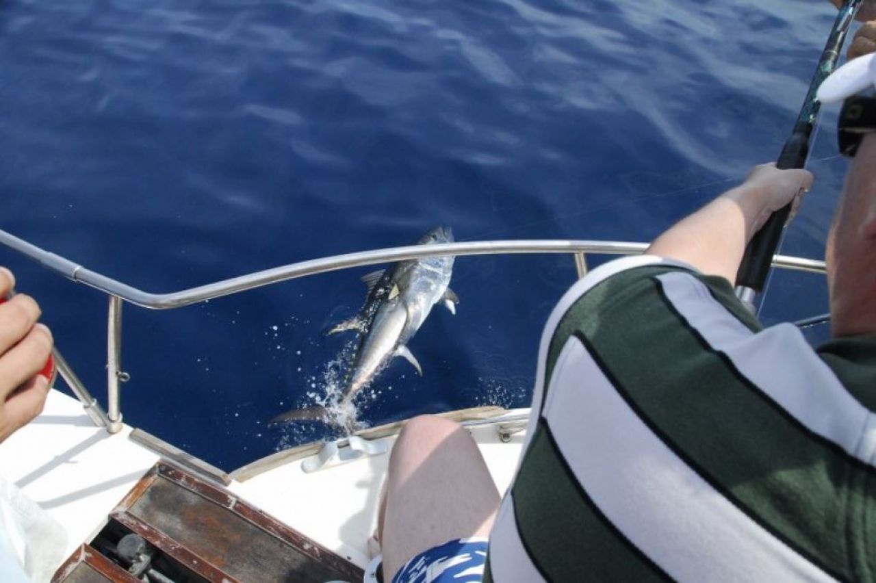 Započeo 17. Big Game Fishing u Jezerima 