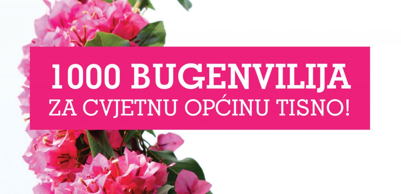 Akcija Općine Tisno pred predstojeću turističku sezonu 