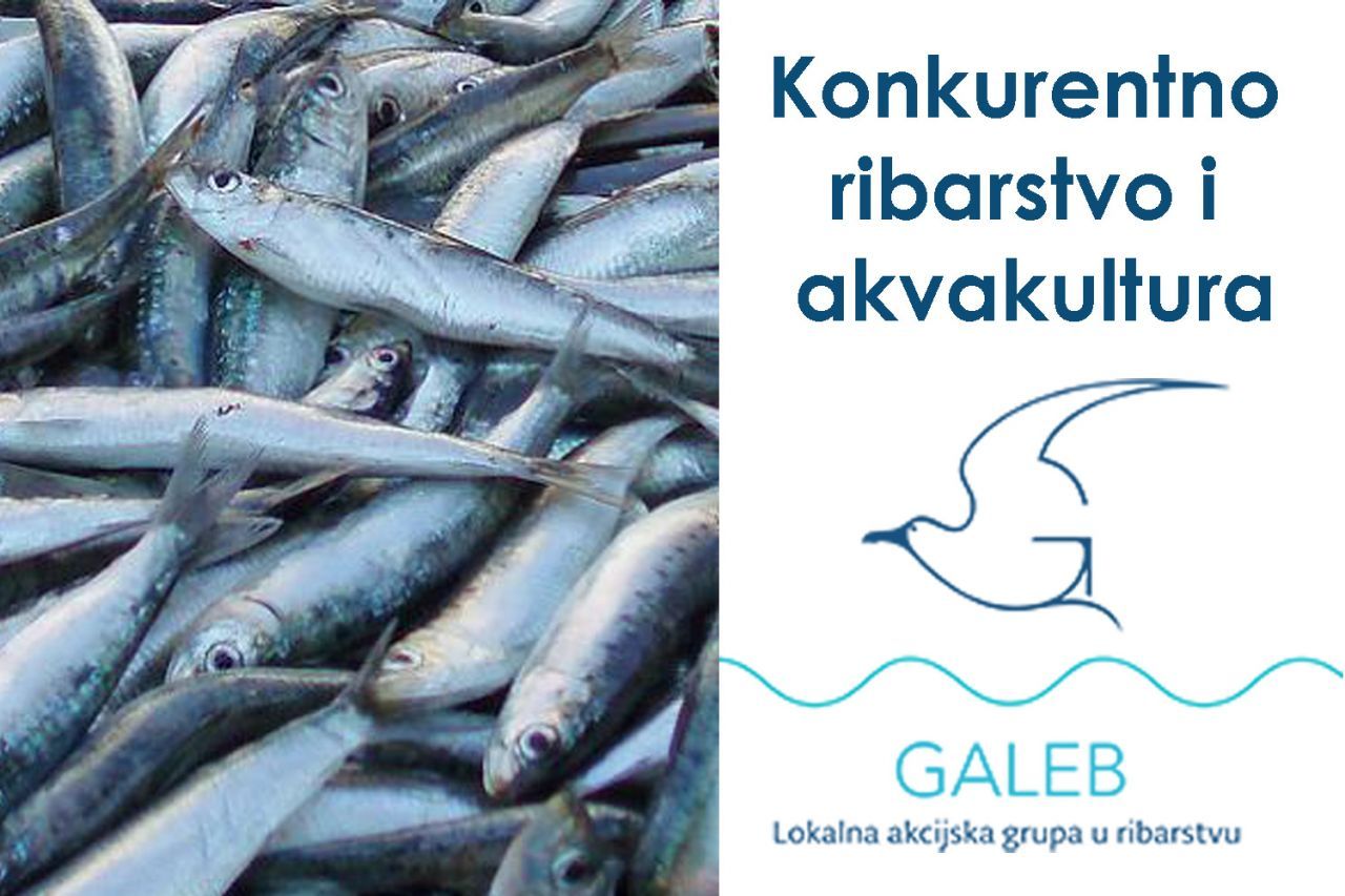 Poziv na radionicu Mjera 1.2.1. "Jačanje konkurentnosti proizvoda ribarstva i akvakulture" 